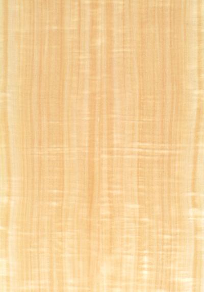 Aspen Figured Quartered