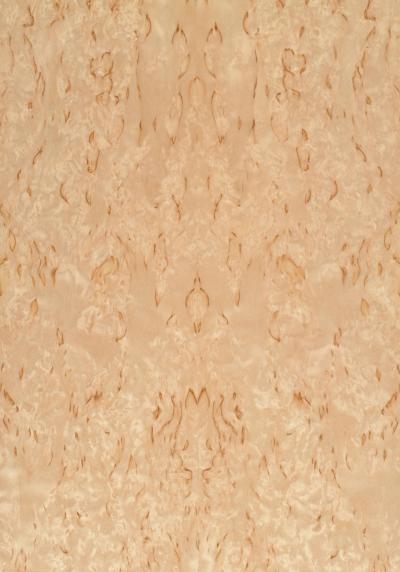 Birch Masur