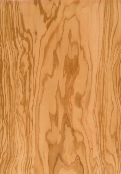 Olivewood Crown