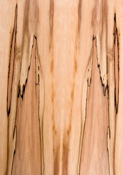 Beech Spalted