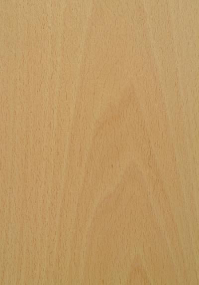 Beech White Crown