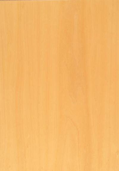 Boxwood