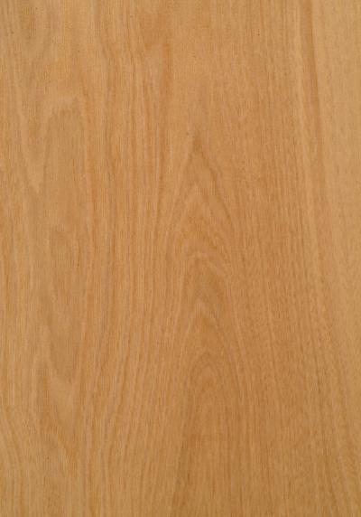 Elm European Crown